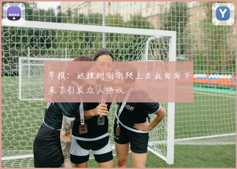 早报：这棵树刚刚爬上去就匆匆下来了引发众人热议