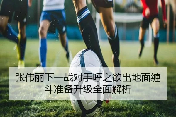 张伟丽下一战对手呼之欲出地面缠斗准备升级全面解析